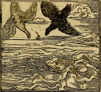 Picture 161 of 202 from Francisci Sanctii Brocensis .. (1573), leaf 474