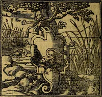 An illustration from Francisci Sanctii Brocensis .. (1573)
