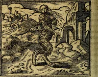 Picture 179 of 202 from Francisci Sanctii Brocensis .. (1573), leaf 519