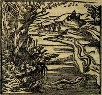 Picture 183 of 202 from Francisci Sanctii Brocensis .. (1573), leaf 529