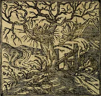 An illustration from Francisci Sanctii Brocensis .. (1573)