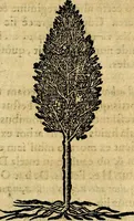 An illustration from Francisci Sanctii Brocensis .. (1573)