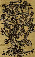 An illustration from Francisci Sanctii Brocensis .. (1573)