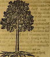 An illustration from Francisci Sanctii Brocensis .. (1573)