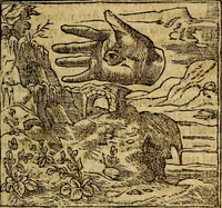 Picture 19 of 202 from Francisci Sanctii Brocensis .. (1573), leaf 80