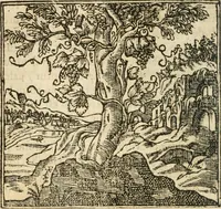 An illustration from Francisci Sanctii Brocensis In inclyta Salmaticensi Academia Rhetoricæ, Graecæque linguæ professoris Comment. in And. Alciati Emblemata : nunc denuò multis in locis accuratè recognita, & quamplurimis figuris illustrata ; cum indice copiosissimo (1573)