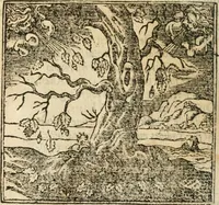 An illustration from Francisci Sanctii Brocensis In inclyta Salmaticensi Academia Rhetoricæ, Graecæque linguæ professoris Comment. in And. Alciati Emblemata : nunc denuò multis in locis accuratè recognita, & quamplurimis figuris illustrata ; cum indice copiosissimo (1573)