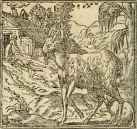 An illustration from Francisci Sanctii Brocensis In inclyta Salmaticensi Academia Rhetoricæ, Graecæque linguæ professoris Comment. in And. Alciati Emblemata : nunc denuò multis in locis accuratè recognita, & quamplurimis figuris illustrata ; cum indice copiosissimo (1573)
