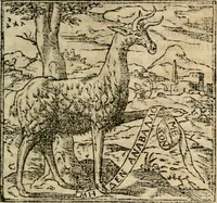 Picture 8 of 212 from Francisci Sanctii Brocensis In inclyta Salmaticensi Academia Rhetoricæ, Graecæque linguæ professoris Comment. in And. Alciati Emblemata : nunc denuò multis in locis accuratè recognita, & quamplurimis figuris illustrata ; cum indice copiosissimo (1573), leaf 26