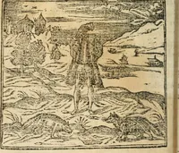 An illustration from Francisci Sanctii Brocensis In inclyta Salmaticensi Academia Rhetoricæ, Graecæque linguæ professoris Comment. in And. Alciati Emblemata : nunc denuò multis in locis accuratè recognita, & quamplurimis figuris illustrata ; cum indice copiosissimo (1573)