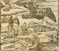 An illustration from Francisci Sanctii Brocensis In inclyta Salmaticensi Academia Rhetoricæ, Graecæque linguæ professoris Comment. in And. Alciati Emblemata : nunc denuò multis in locis accuratè recognita, & quamplurimis figuris illustrata ; cum indice copiosissimo (1573)