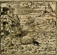 An illustration from Francisci Sanctii Brocensis In inclyta Salmaticensi Academia Rhetoricæ, Graecæque linguæ professoris Comment. in And. Alciati Emblemata : nunc denuò multis in locis accuratè recognita, & quamplurimis figuris illustrata ; cum indice copiosissimo (1573)
