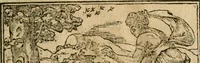 An illustration from Francisci Sanctii Brocensis In inclyta Salmaticensi Academia Rhetoricæ, Graecæque linguæ professoris Comment. in And. Alciati Emblemata : nunc denuò multis in locis accuratè recognita, & quamplurimis figuris illustrata ; cum indice copiosissimo (1573)
