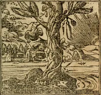 An illustration from Francisci Sanctii Brocensis In inclyta Salmaticensi Academia Rhetoricæ, Graecæque linguæ professoris Comment. in And. Alciati Emblemata : nunc denuò multis in locis accuratè recognita, & quamplurimis figuris illustrata ; cum indice copiosissimo (1573)
