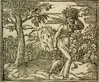 An illustration from Francisci Sanctii Brocensis In inclyta Salmaticensi Academia Rhetoricæ, Graecæque linguæ professoris Comment. in And. Alciati Emblemata : nunc denuò multis in locis accuratè recognita, & quamplurimis figuris illustrata ; cum indice copiosissimo (1573)