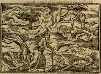 An illustration from Francisci Sanctii Brocensis In inclyta Salmaticensi Academia Rhetoricæ, Graecæque linguæ professoris Comment. in And. Alciati Emblemata : nunc denuò multis in locis accuratè recognita, & quamplurimis figuris illustrata ; cum indice copiosissimo (1573)
