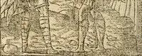 An illustration from Francisci Sanctii Brocensis In inclyta Salmaticensi Academia Rhetoricæ, Graecæque linguæ professoris Comment. in And. Alciati Emblemata : nunc denuò multis in locis accuratè recognita, & quamplurimis figuris illustrata ; cum indice copiosissimo (1573)