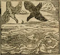 An illustration from Francisci Sanctii Brocensis In inclyta Salmaticensi Academia Rhetoricæ, Graecæque linguæ professoris Comment. in And. Alciati Emblemata : nunc denuò multis in locis accuratè recognita, & quamplurimis figuris illustrata ; cum indice copiosissimo (1573)