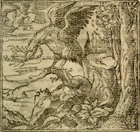 An illustration from Francisci Sanctii Brocensis In inclyta Salmaticensi Academia Rhetoricæ, Graecæque linguæ professoris Comment. in And. Alciati Emblemata : nunc denuò multis in locis accuratè recognita, & quamplurimis figuris illustrata ; cum indice copiosissimo (1573)