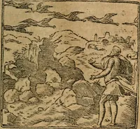 An illustration from Francisci Sanctii Brocensis In inclyta Salmaticensi Academia Rhetoricæ, Graecæque linguæ professoris Comment. in And. Alciati Emblemata : nunc denuò multis in locis accuratè recognita, & quamplurimis figuris illustrata ; cum indice copiosissimo (1573)