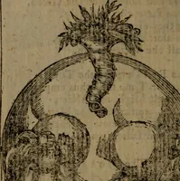 An illustration from Francis Quarles' Emblems and : Hieroglyphics of the life of man, modernized : in four books (1773)