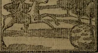 An illustration from Francis Quarles' Emblems and : Hieroglyphics of the life of man, modernized : in four books (1773)
