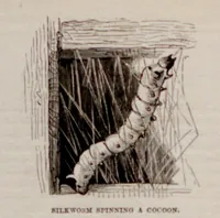 An illustration from Frank Leslie's historical register of the United States Centennial Exposition, 1876 : embellished with nearly eight hundred illustrations drawn expressly for this work by the most eminent artists in America ; including illustrations and descriptions of all previous international exhibitions, and containing much useful information, and statistics of the foreign countries represented at the Exposition (1877)