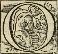 Picture 53 of 88 from Fratris Dominici Soto Segouiensis, theologi De iustitia & iure : libri decem (1553), leaf 589