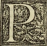 An illustration from Fratris Dominici Soto Segouiensis, theologi De iustitia & iure : libri decem (1553)