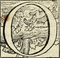 An illustration from Fratris Dominici Soto Segouiensis, theologi De iustitia & iure : libri decem (1553)