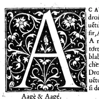 Picture 2 of 33 from Dictionnaire francoislatin, contenant les mots & manières de parler francois, tournez en latin [microforme] (1539), leaf 11