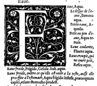 Picture 8 of 33 from Dictionnaire francoislatin, contenant les mots & manières de parler francois, tournez en latin [microforme] (1539), leaf 171