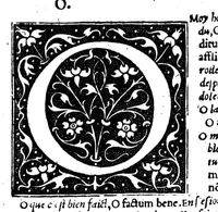 Picture 24 of 33 from Dictionnaire francoislatin, contenant les mots & manières de parler francois, tournez en latin [microforme] (1539), leaf 341