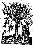 Picture 8 of 14 from Traicté de la gràmaire francoise [microforme] (1569), leaf 17