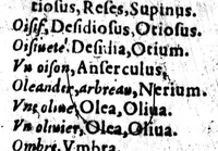 Picture 7 of 10 from Les mots francois selon l'ordre des lettres, ainsi qu'il faut escrire, tournez en latin pour les enfans [microforme] (1567), leaf 136