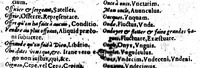 An illustration from Les mots francois selon l'ordre des lettres, ainsi qu'il faut escrire, tournez en latin pour les enfans [microforme] (1567)