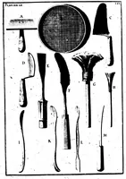 Picture 42 of 53 from Des principes de l'architecture, de la sculpture, de la peinture, et des autres arts qui en dépendent [microforme] : avec un dictionnaire des termes propres à chacun de ces arts (1676), leaf 365