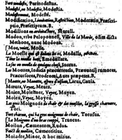 An illustration from Dictionnaire françois latin, auquel les mots françois, avec les manières d'user d'iceulx, sont tournez en latin [microforme] (1564)