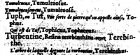 An illustration from Dictionnaire francois-latin, autrement dict, Les mots francois avec les manieres duser dideux, tournez en latin [microforme] (1549)