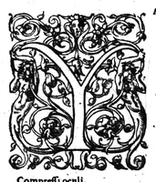 Picture 67 of 68 from Dictionnaire francois-latin, autrement dict, Les mots francois avec les manieres duser dideux, tournez en latin [microforme] (1549), leaf 662