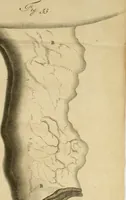 An illustration from Frederici Ruyschii ... Observationum anatomico-chirurgicarum centuria : accedit catalogus rariorum, quae in museo Ruyschiano asservantur ... (1691)