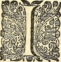 An illustration from Frederici Ruyschii ... Observationum anatomico-chirurgicarum centuria : accedit catalogus rariorum, quae in museo Ruyschiano asservantur ... (1691)