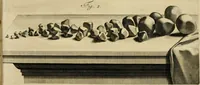 Picture 7 of 60 from Frederici Ruyschii ... Observationum anatomico-chirurgicarum centuria : accedit catalogus rariorum, quae in museo Ruyschiano asservantur ... (1691), leaf 24
