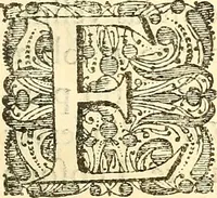 An illustration from Frederici Ruyschii ... Observationum anatomico-chirurgicarum centuria : accedit catalogus rariorum, quae in museo Ruyschiano asservantur ... (1691)