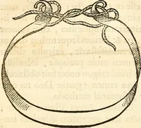 Picture 8 of 60 from Frederici Ruyschii ... Observationum anatomico-chirurgicarum centuria : accedit catalogus rariorum, quae in museo Ruyschiano asservantur ... (1691), leaf 27