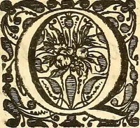 An illustration from Frederici Ruyschii ... Observationum anatomico-chirurgicarum centuria : accedit catalogus rariorum, quae in museo Ruyschiano asservantur ... (1691)
