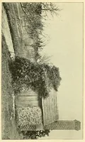 Picture 6 of 17 from Frederick Douglass the orator : Containing an account of his life; his eminent public services; his brilliant career as orator; selections from his speeches and writings (1893), leaf 125