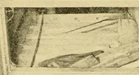 An illustration from Frederick Douglass the orator : Containing an account of his life; his eminent public services; his brilliant career as orator; selections from his speeches and writings (1893)