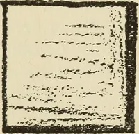 An illustration from Free hand drawing and designing (1919)