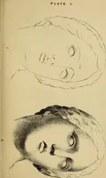 An illustration from Free-hand drawing : a guide to ornamental, figure, and landscape drawing (1868)